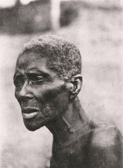 The African Slave Trade - Home